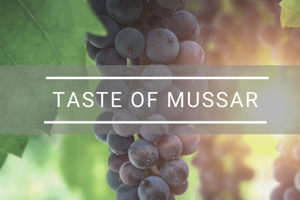 TASTE OF MUSSAR (2)