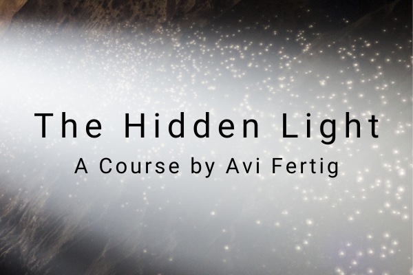THE HIDDEN LIGHT with Avi Fertig (300 × 400 px) (400 × 600 px) (600 × 400 px) (1)