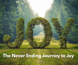 The Never-Ending Journey to Joy