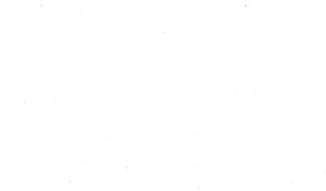 blank-white-background-xbsfzsltjksfompa