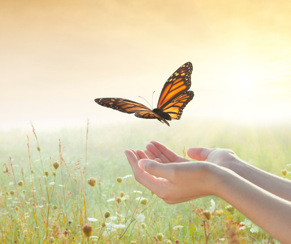 Courses (8) Aging Soulfully with Mussar